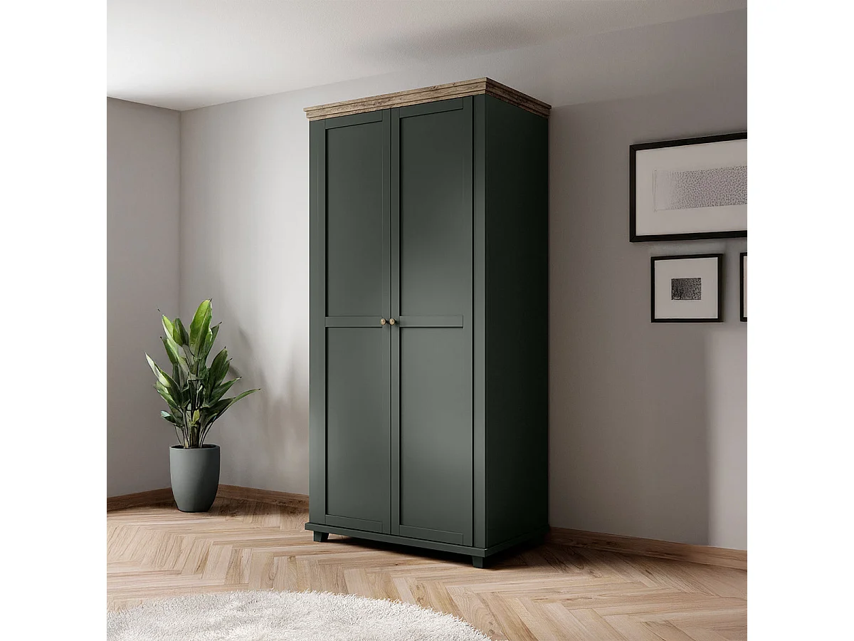 Armoire 2 portes Martin Vert et Bois