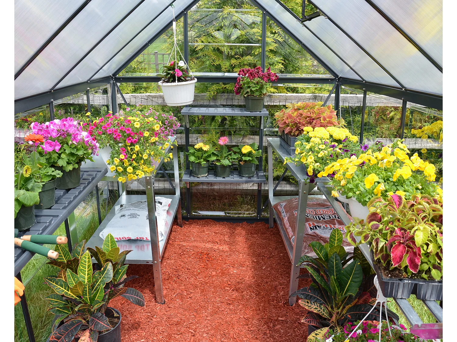 Canopia Hybrid Serre de jardin