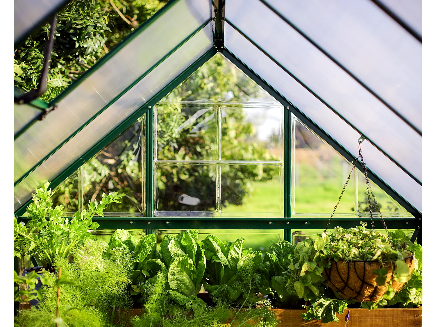 Canopia Hybrid Serre de jardin