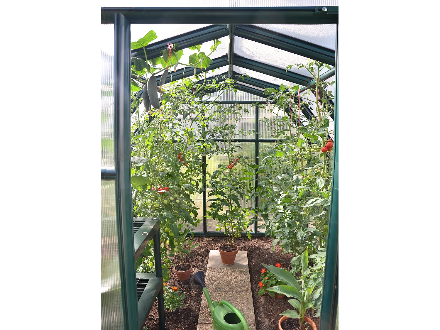 Canopia Eco Grow Serre de jardin