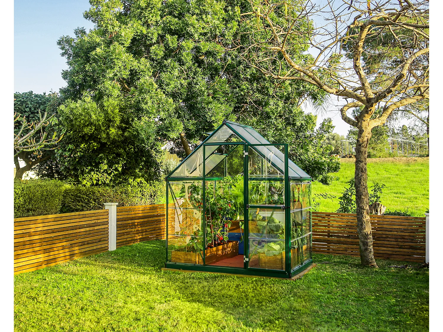Canopia Hybrid Serre de jardin