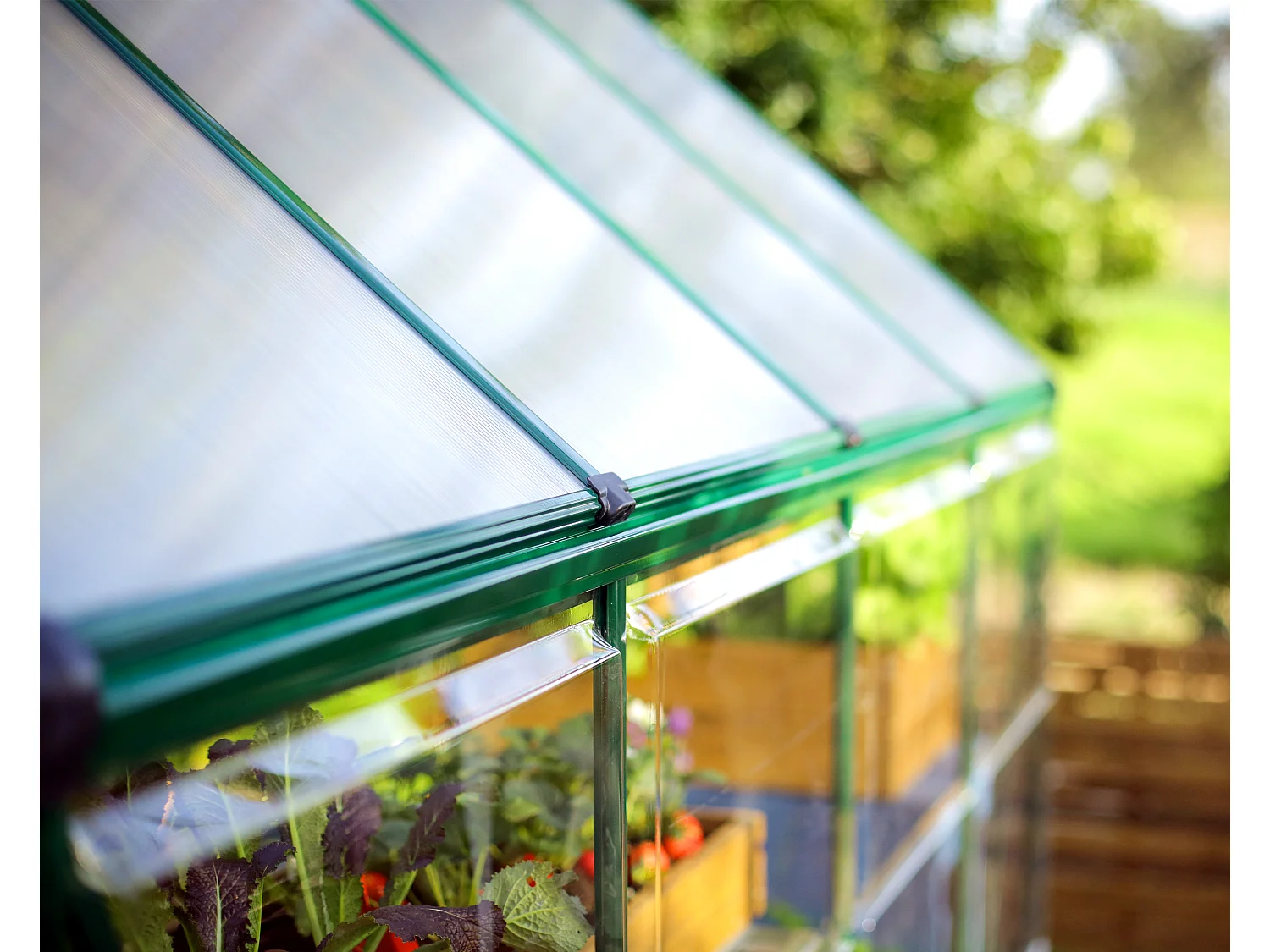 Canopia Hybrid Serre de jardin