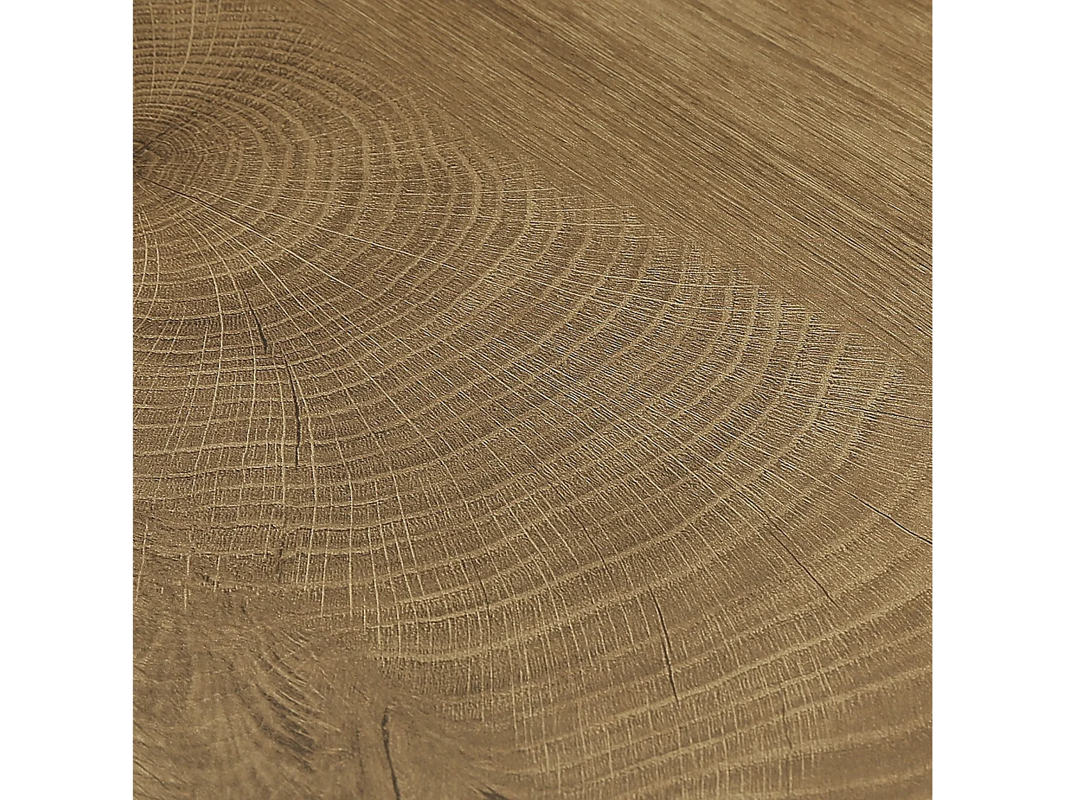Console de 160 cm, table d'entrée rustique avec rangement ouvert pour salon