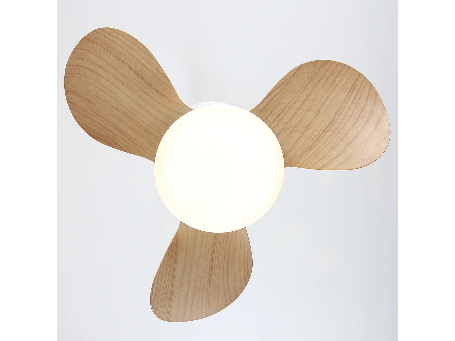 Parrot Uncle Ventilateur de plafond compact 61 cm, blanc, avec éclairage LED