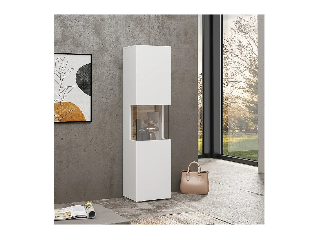 Vitrine mit 1 teilweise verglasten Tür, Kollektion EVA. Farbe Weiß und Eiche.