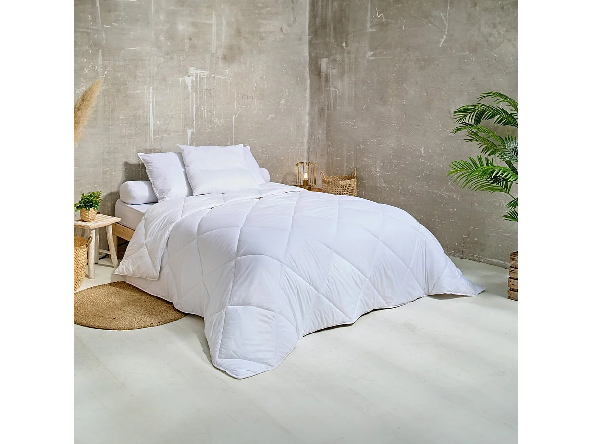Pack Lavable à 95 Couette chaude 220x240cm + 2 Oreillers moelleux 60x60cm