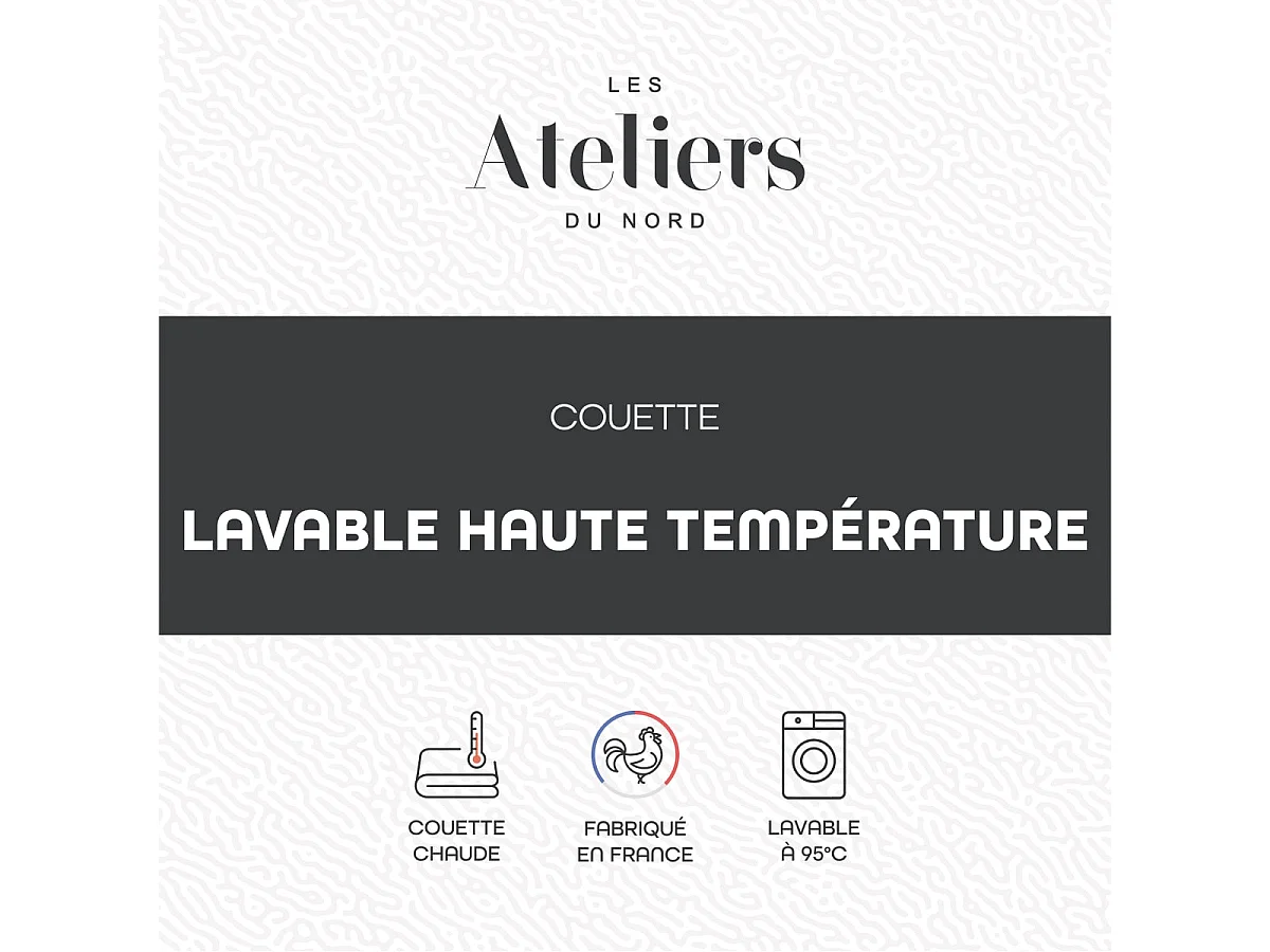 Pack Lavable à 95 Couette chaude 220x240cm + 2 Oreillers moelleux 60x60cm