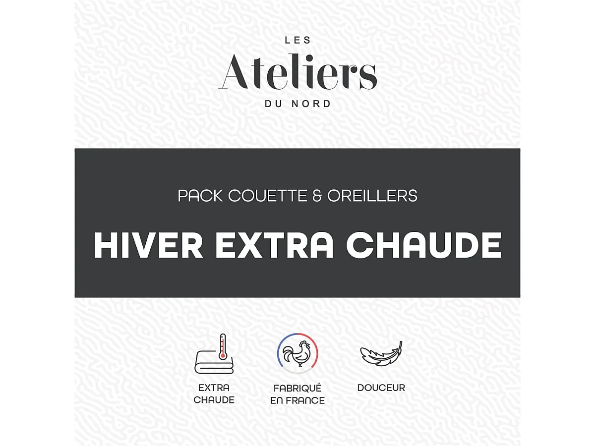 Pack Hiver Couette très chaude 220x240cm + 2 Oreillers moelleux 60x60cm