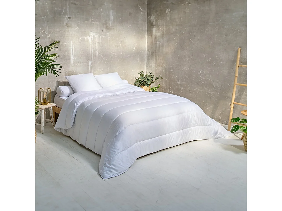 Pack Anti-acariens Couette chaude 220x240cm + 2 Oreillers moelleux 60x60cm