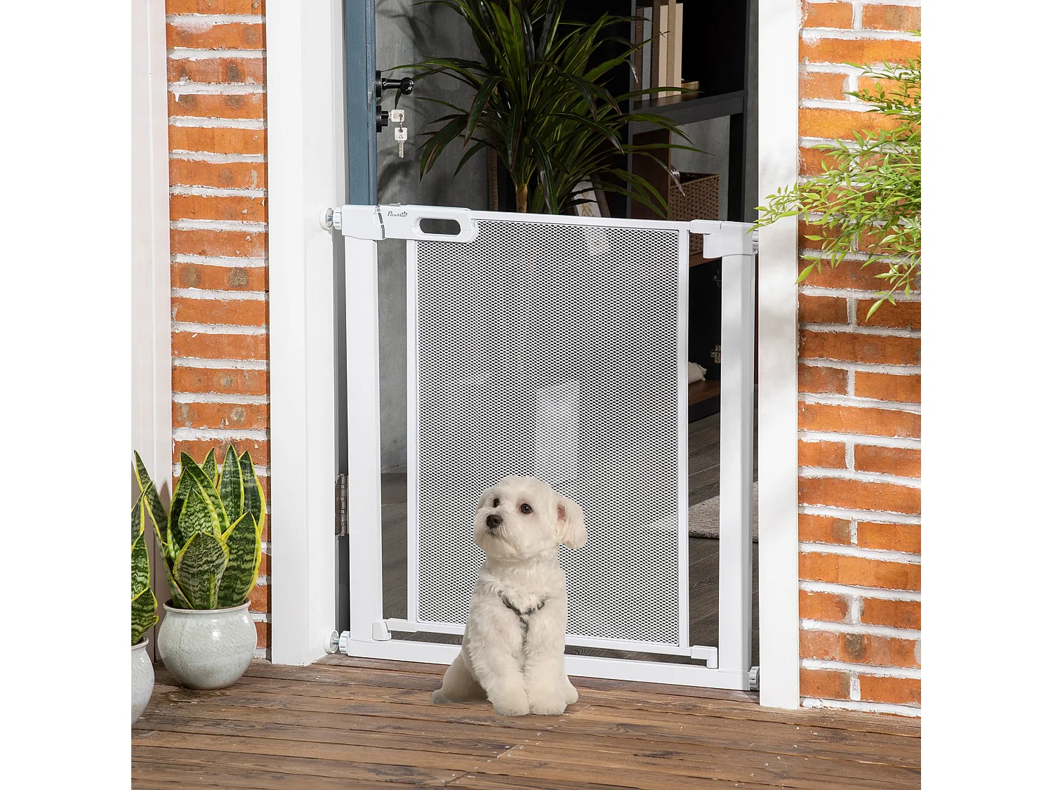Cancello per cani regolabile 75-82 cm con chiusura automatica bianco