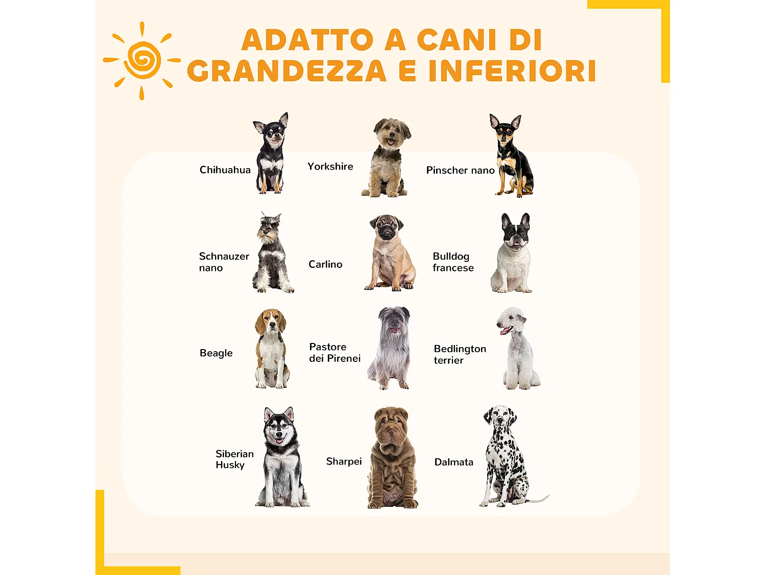 Box per cani a 8 pannelli modulabili in acciaio 164x164x100 cm nero