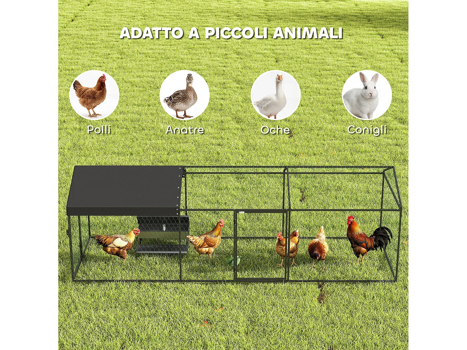 Recinto per polli con copertura metallo nero