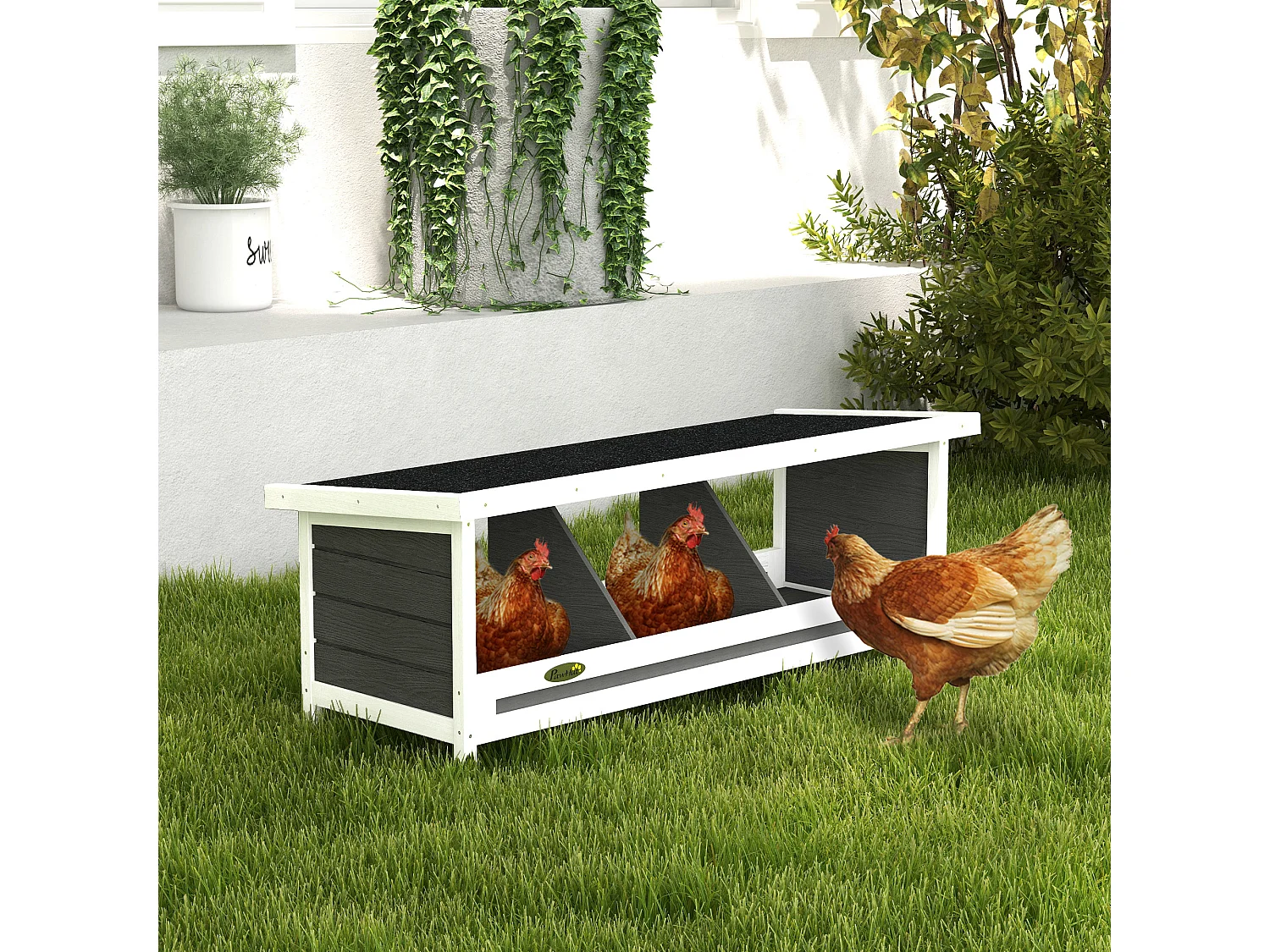 Nido per galline a 3 aree in legno con base rialzata e tetto in bitume