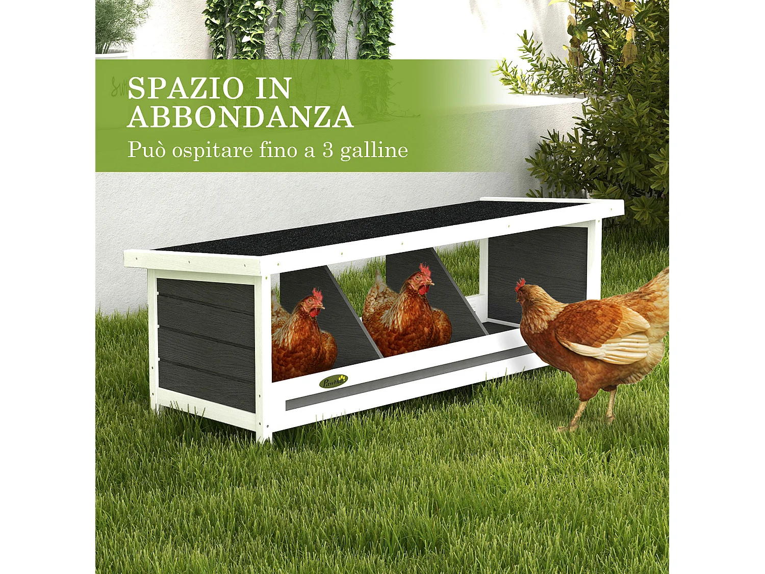 Nido per galline a 3 aree in legno con base rialzata e tetto in bitume