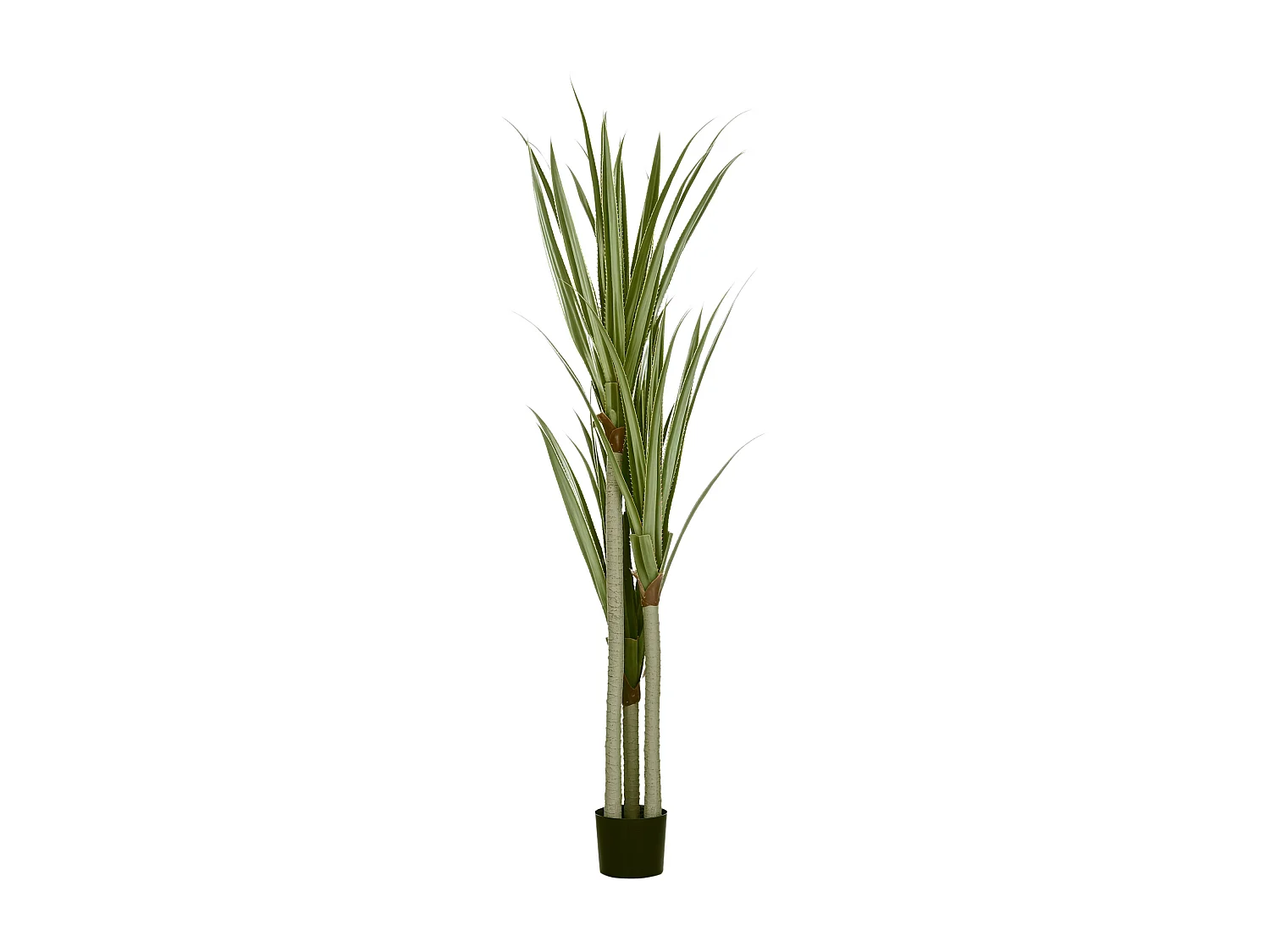 Pianta artificiale di yucca 190 cm in vaso contenitore in peva cemento
