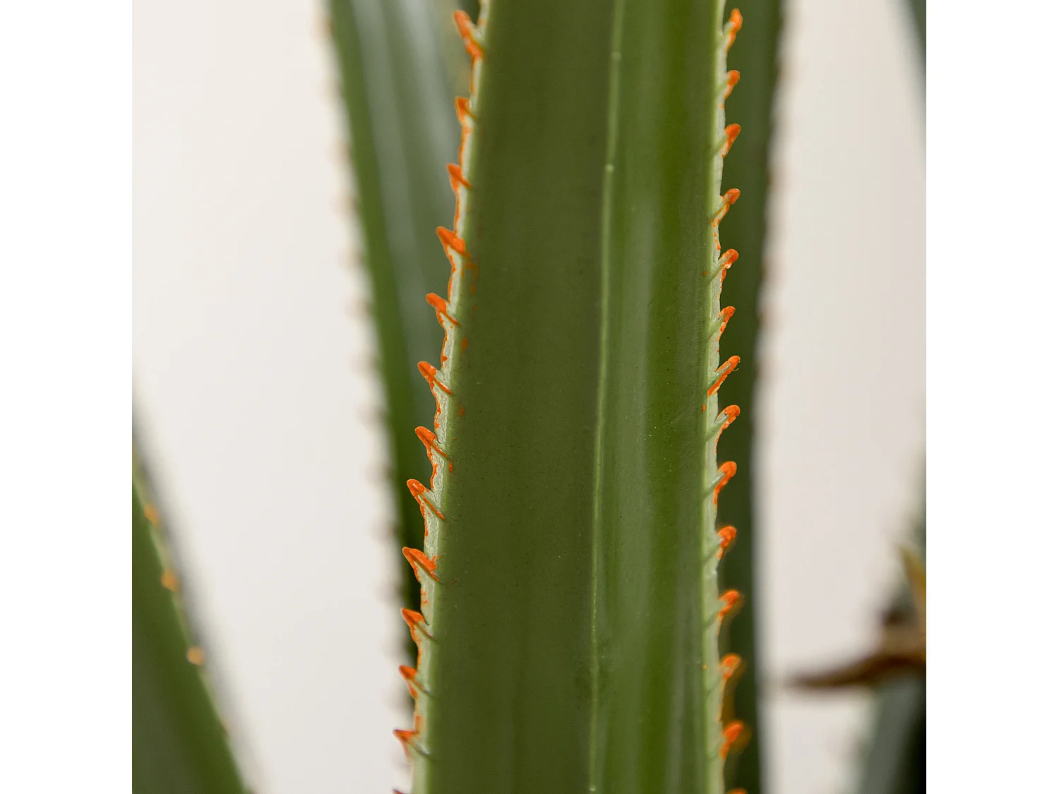 Pianta artificiale di yucca 190 cm in vaso contenitore in peva cemento
