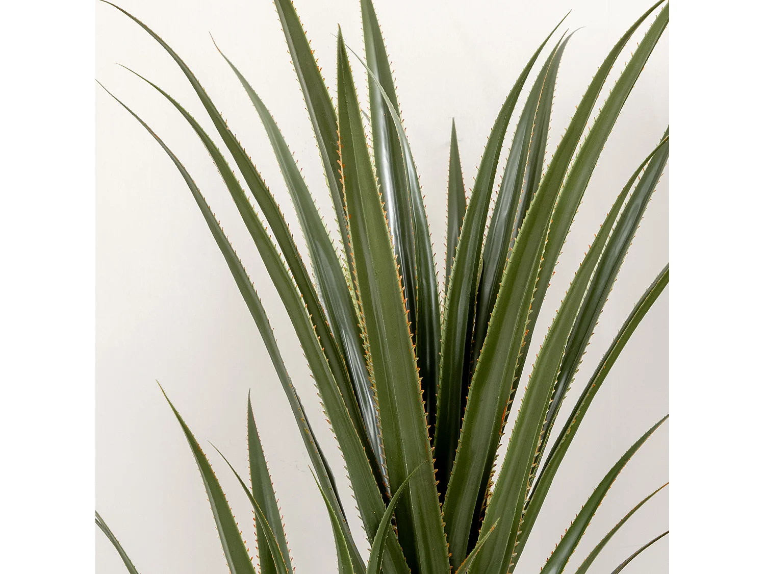 Pianta artificiale di yucca 190 cm in vaso contenitore in peva cemento