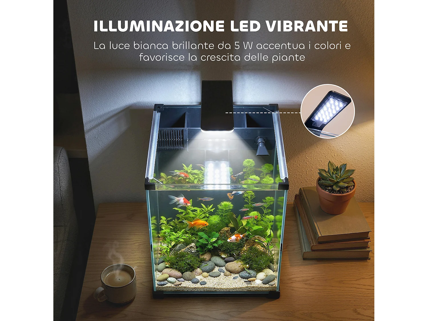 Acquario con luce led in vetro temperato nero