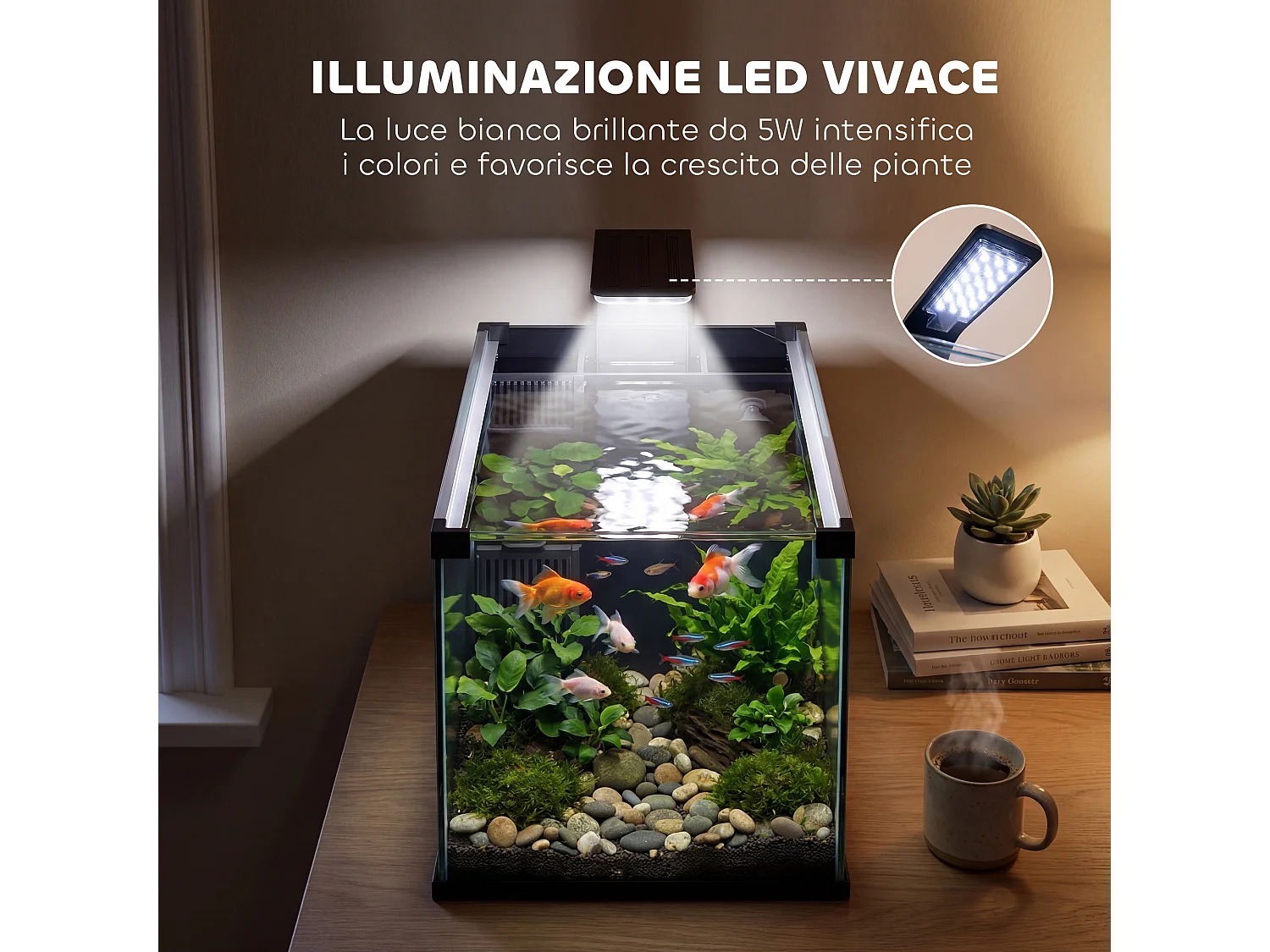 Acquario 24l con filtro e led in vetro temperato nero