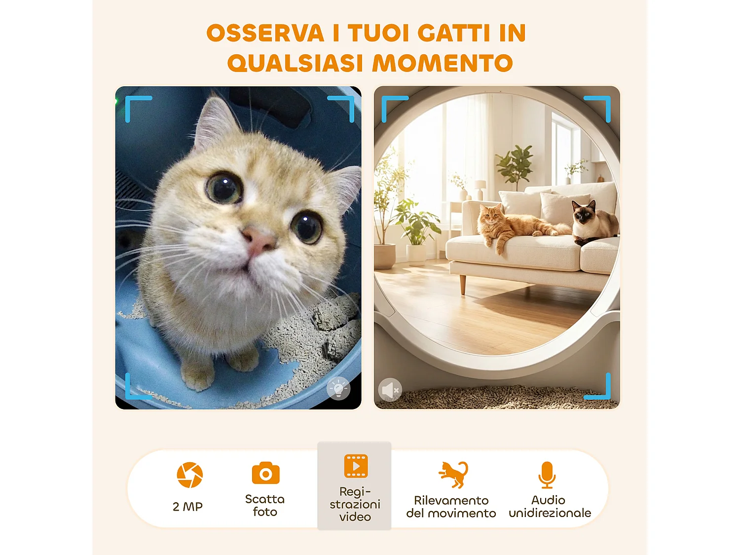 Lettiera autopulente con telecamera hd, contenitore 7l e sensori