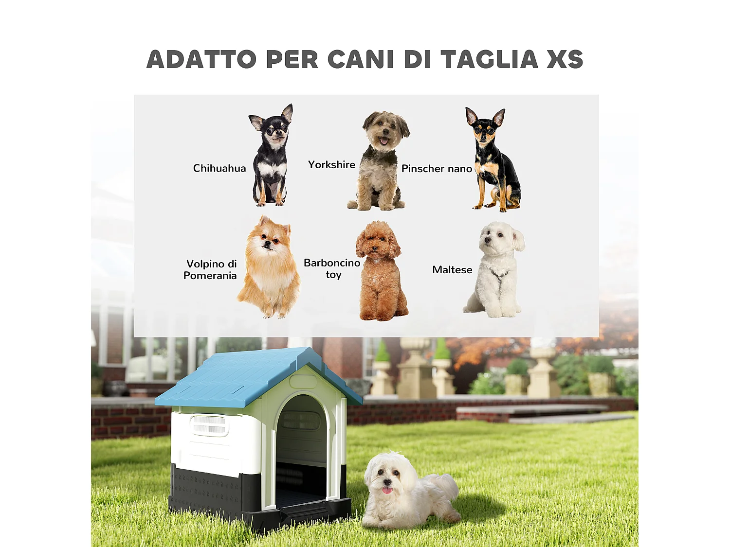 Cuccia per cani piccoli da esterno con finestre in plastica blu