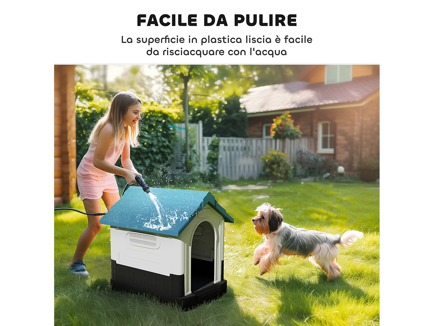 Cuccia per cani piccoli da esterno con finestre in plastica blu