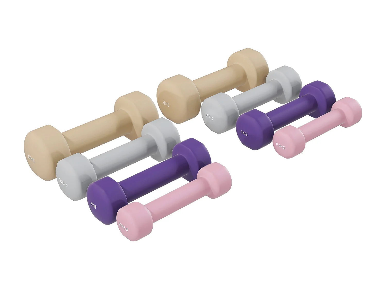Set manubri 10 kg con valigetta porta pesi multicolore