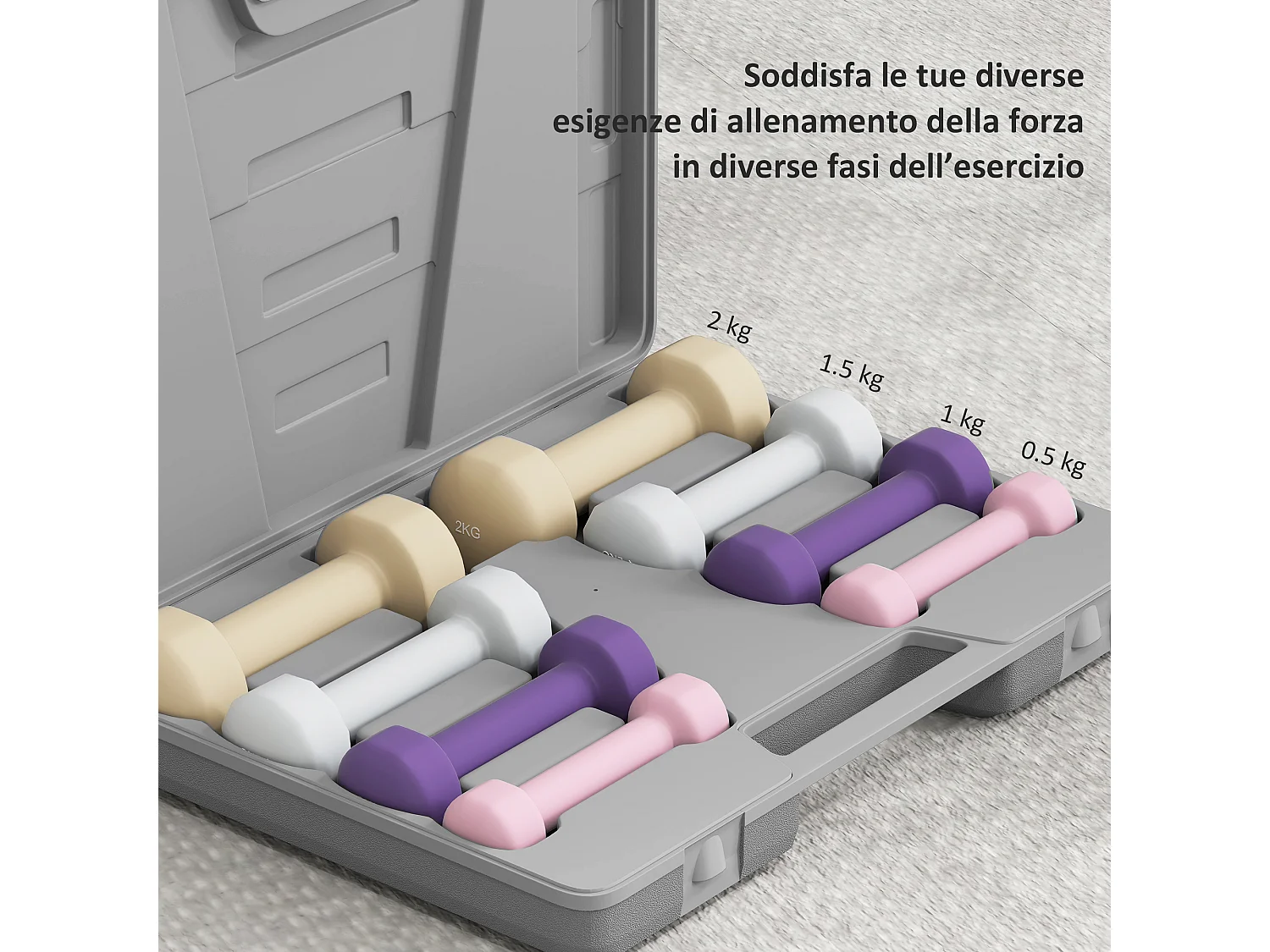 Set manubri 10 kg con valigetta porta pesi multicolore