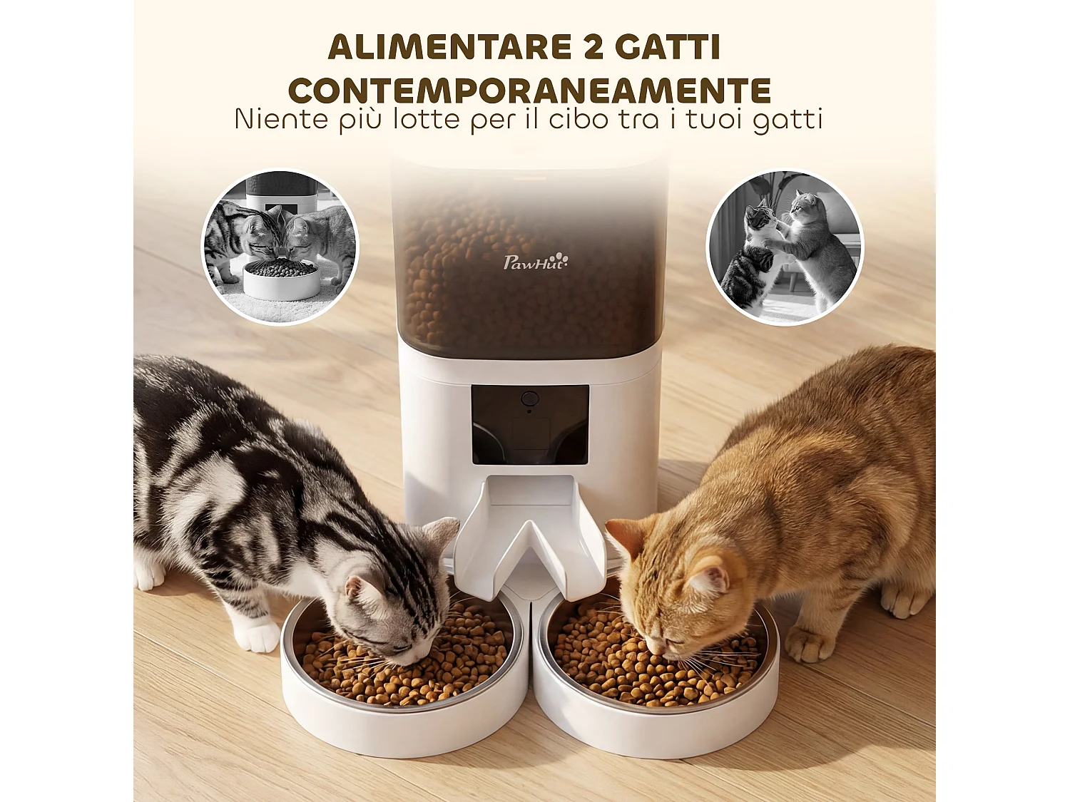 Distributore automatico cibo wifi app 2 ciotole in acciaio inox bianco