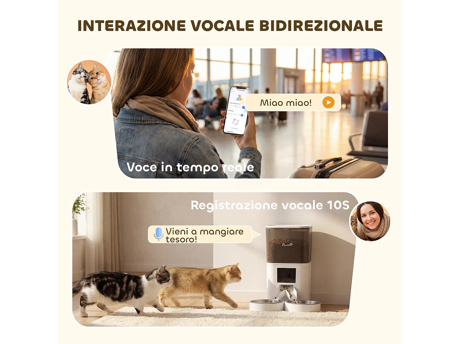 Distributore automatico cibo wifi app 2 ciotole in acciaio inox bianco