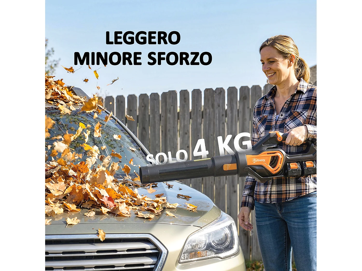 Soffiatore senza fili con due batterie