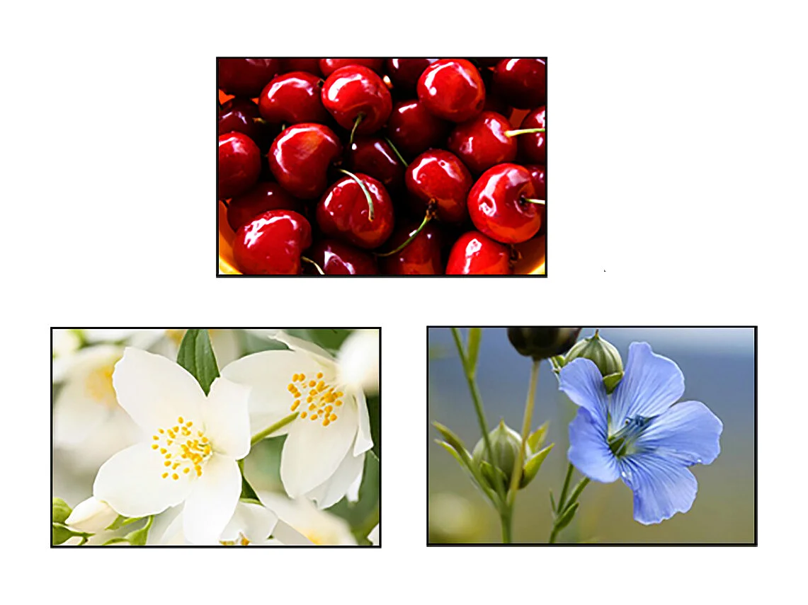 Lot de 3 déshumidificateurs absorbeurs d'Humidité parfumés, Lin,Cerise et jasmin (1 lin, 1 cerise , 1 jasmin), capacité 650 ml