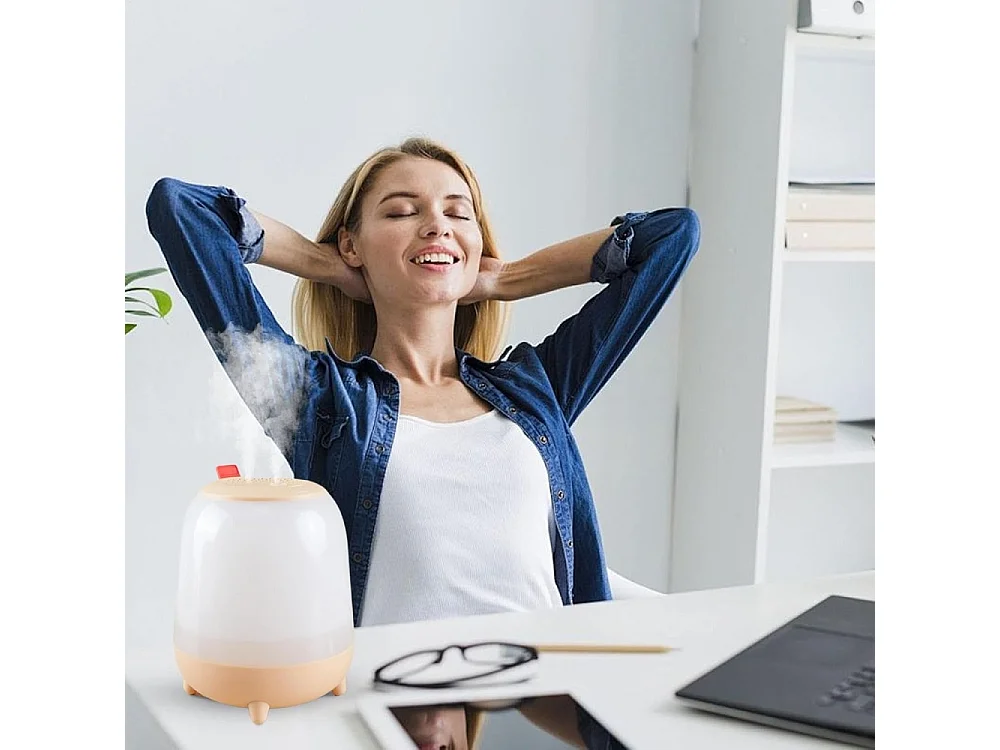 Radiateur - Portatif, avec ventilateur, protection contre surchauffe