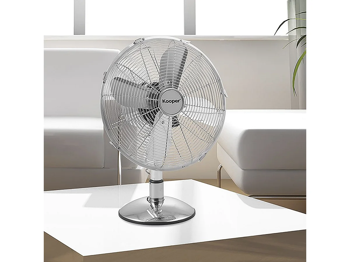 Ventilateur De Table En Métal 30 Cm – Inox
