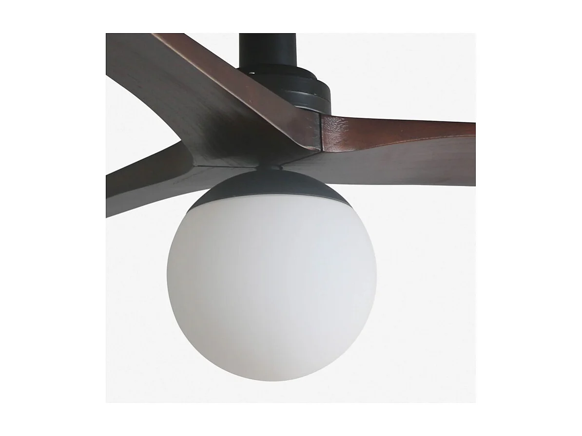 KLIM S Ventilateur avec éclairage, corps noir, pales en noyer foncé, Faro Barcelona