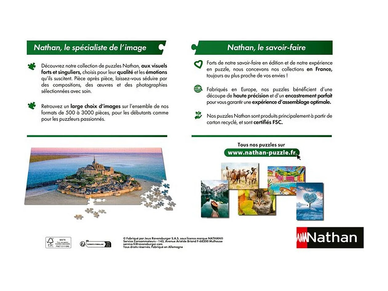 NATHAN Puzzle 3000 Teile - Pariser Straßenpuzzle Nostalgische Szene mit Eiffelturm