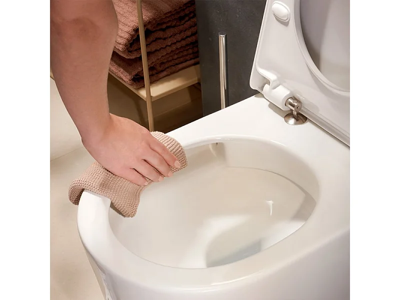 WC à poser sans bride sortie horizontale HANSGROHE GladeLake S avec abattant frein de chute