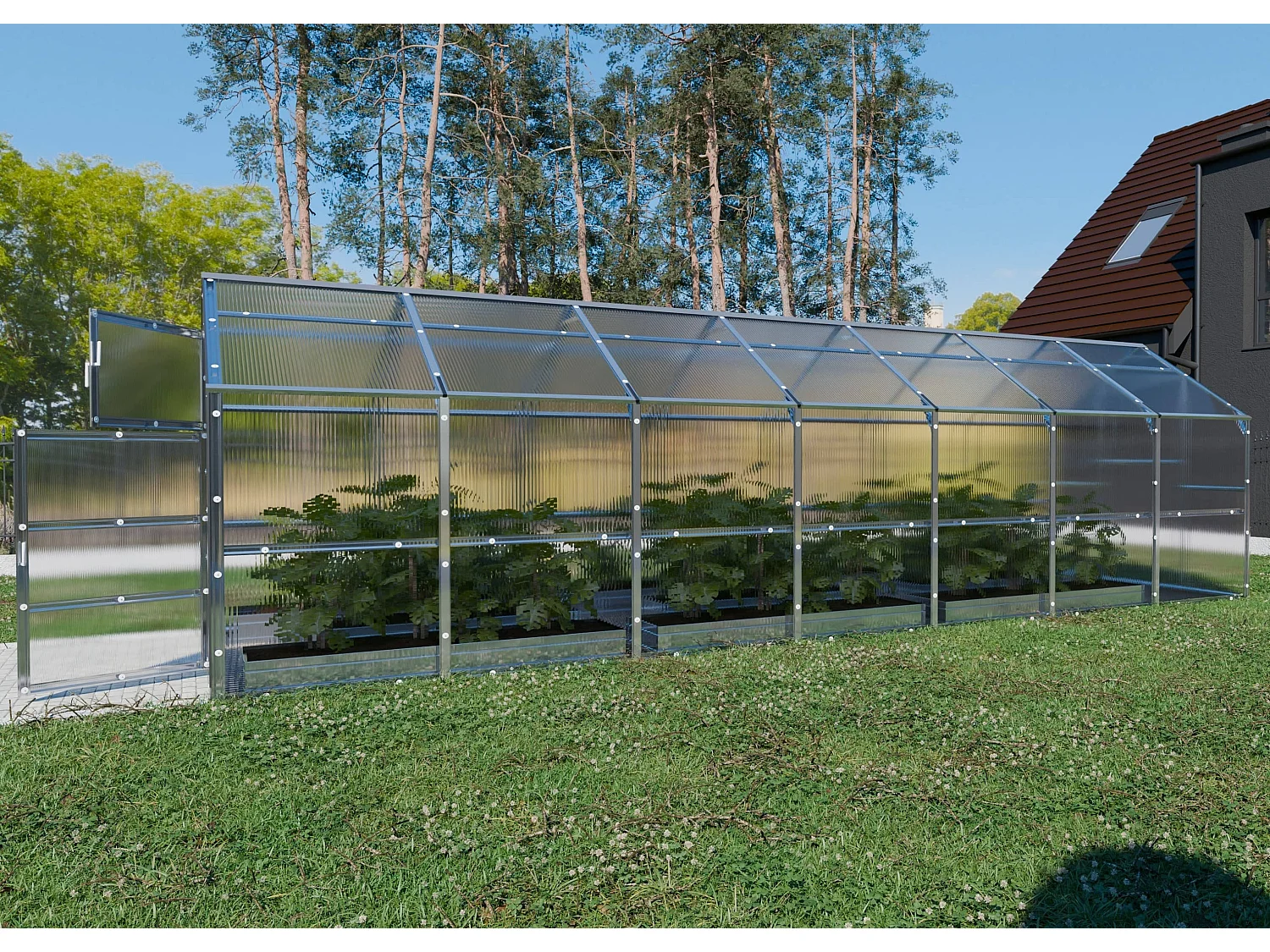 Klasika Greenhouses Bernard KLASIKA Gewächshaus 2,35 x 7 m 16,45 m²  Mit 4 mm Polycarbonatabdeckung