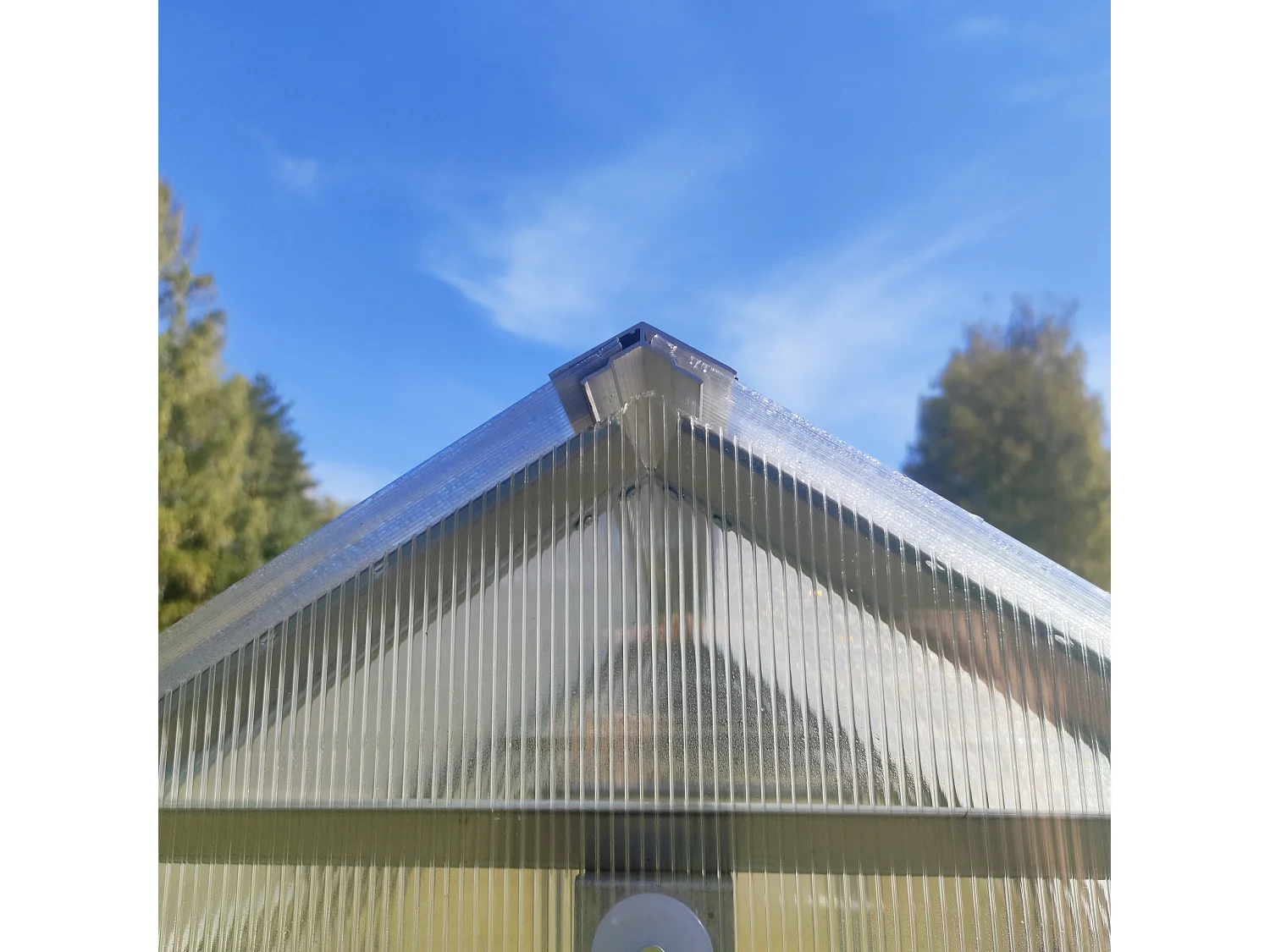 Klasika Greenhouses Bernard KLASIKA Serre 2,35 x 7 m 16,45 m² Avec couverture en polycarbonate de 4 mm