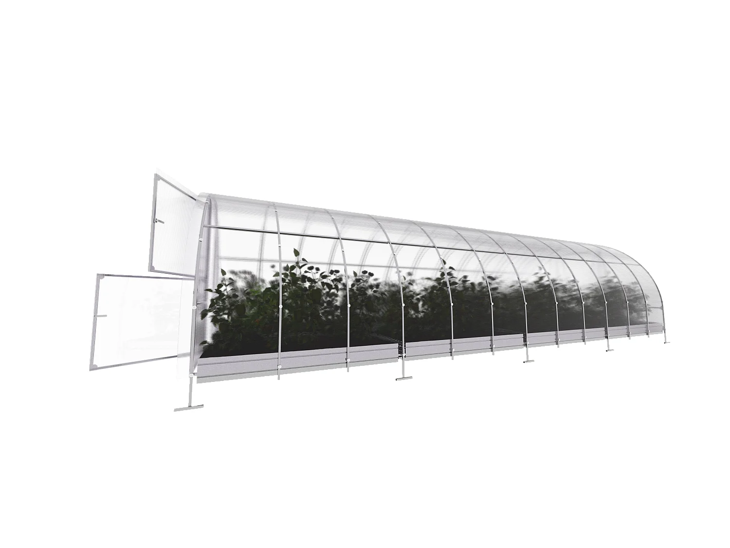 Klasika Greenhouses Easy KLASIKA Serre 24m² 3m x 8m Avec couverture en polycarbonate de 6 mm