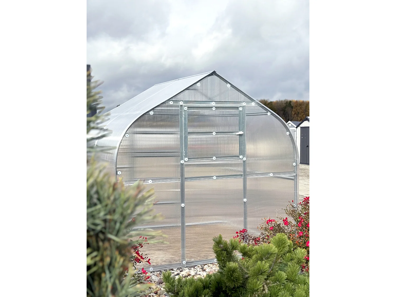 Klasika Greenhouses Drop KLASIKA Gewächshaus 15m² 2,5m x 6m Mit 4 mm Polycarbonatabdeckung