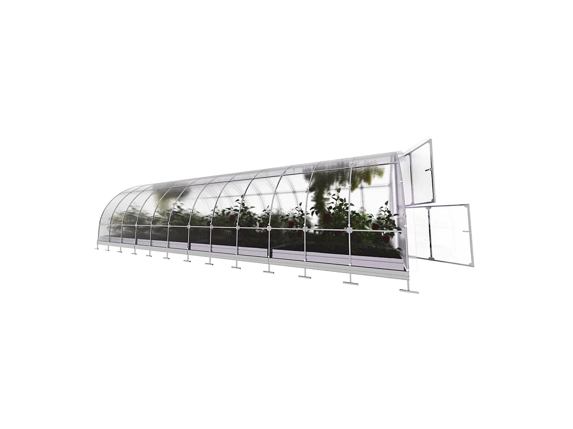 Klasika Greenhouses Tube KLASIKA Gewächshaus 24m² 3m x 8m Mit 6 mm Polycarbonatabdeckung