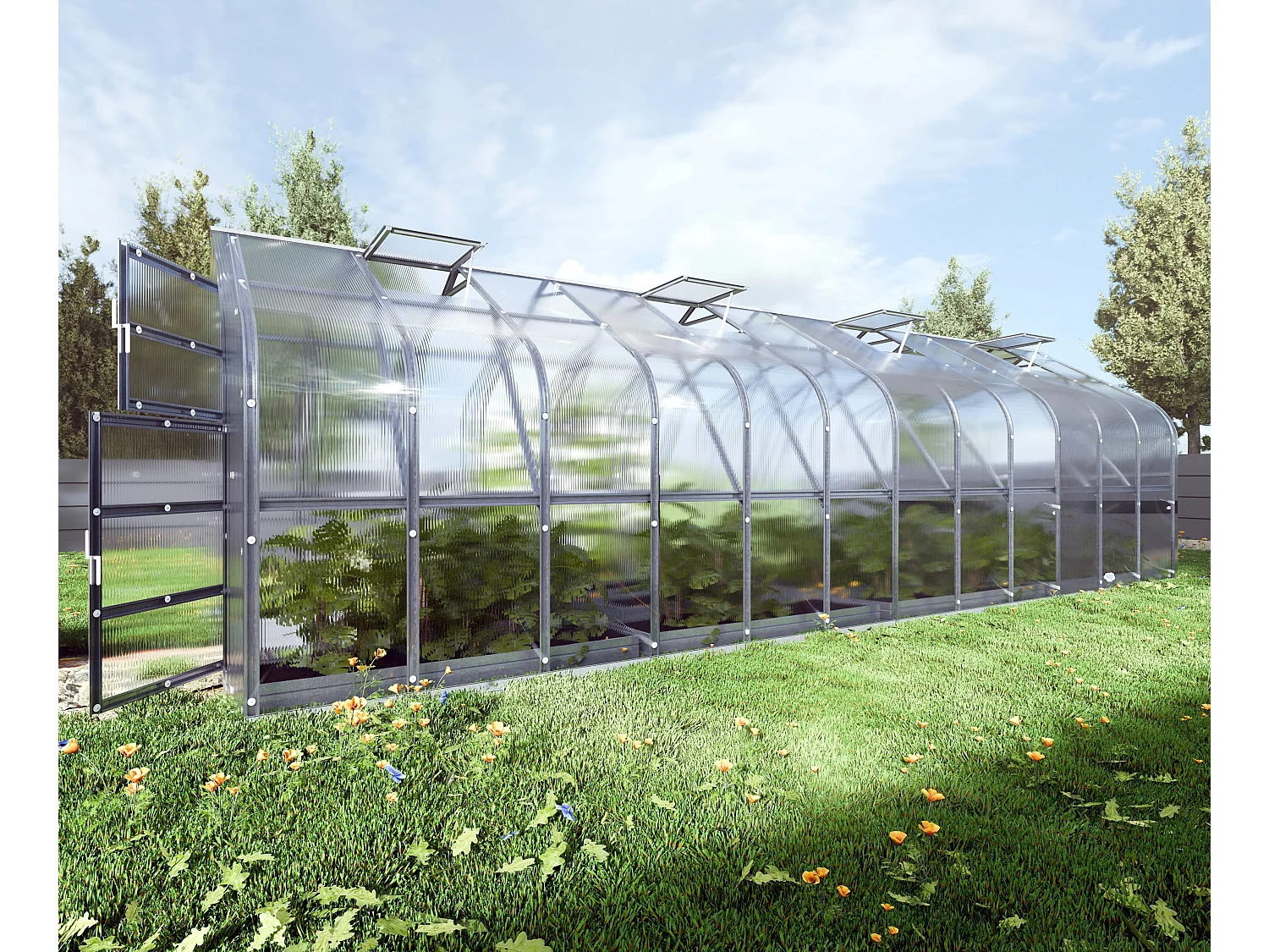 Klasika Greenhouses Standart KLASIKA Gewächshaus 20m² 2,5m x 8m Mit 6 mm Polycarbonatabdeckung & 4 Dachfensters