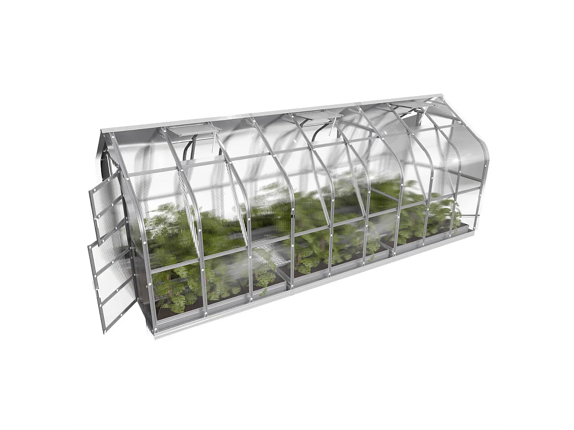 Klasika Greenhouses Standart KLASIKA Serre 15m² 2,5m x 6m Avec couverture en polycarbonate de 6 mm et 3 fenêtres de toit