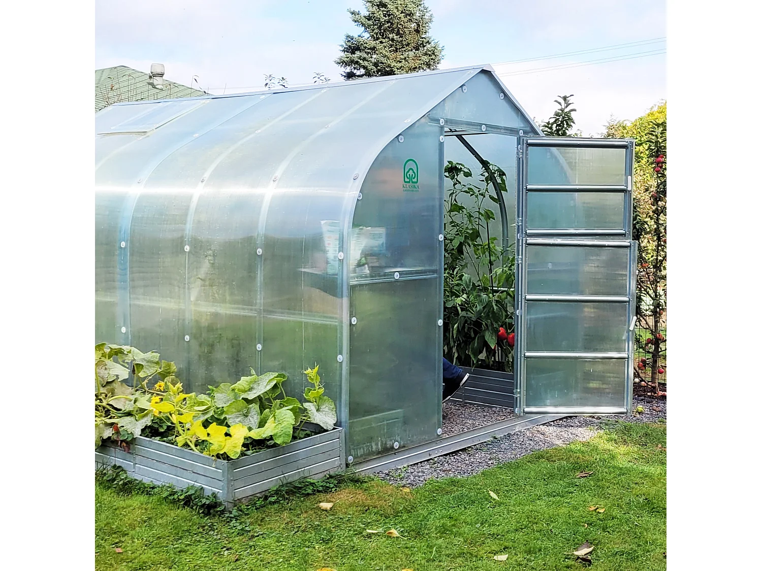 Klasika Greenhouses Standart KLASIKA Serre 15m² 2,5m x 6m Avec couverture en polycarbonate de 6 mm et 3 fenêtres de toit