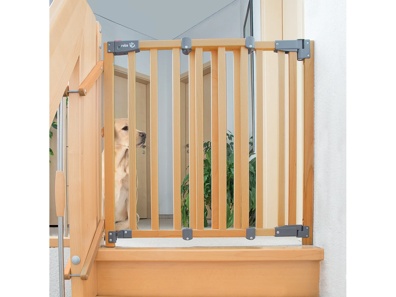 Barrière de sécurité ROBA Safety Up en hêtre massif, réglable 93,5–120,5 cm