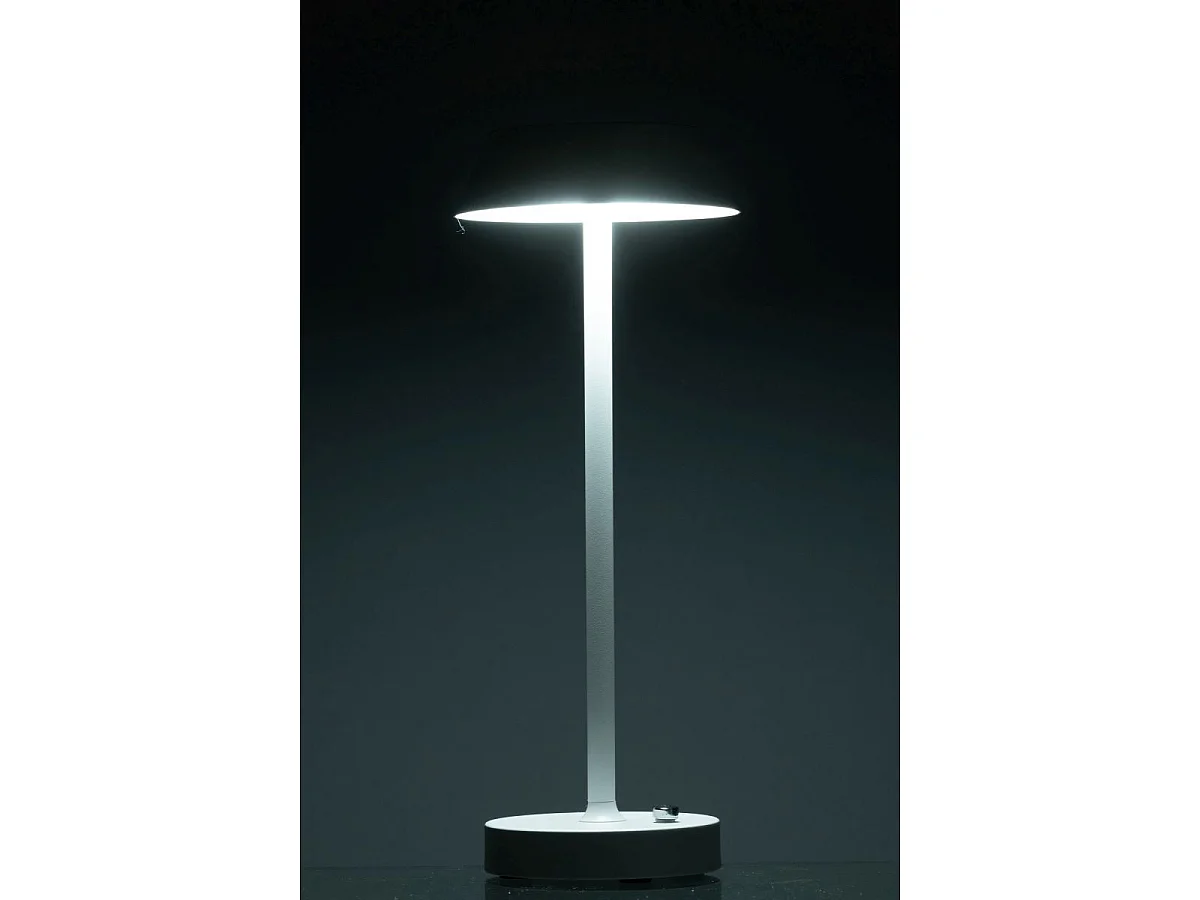 Lampe à Poser à LED "Noé" 31cm Blanc