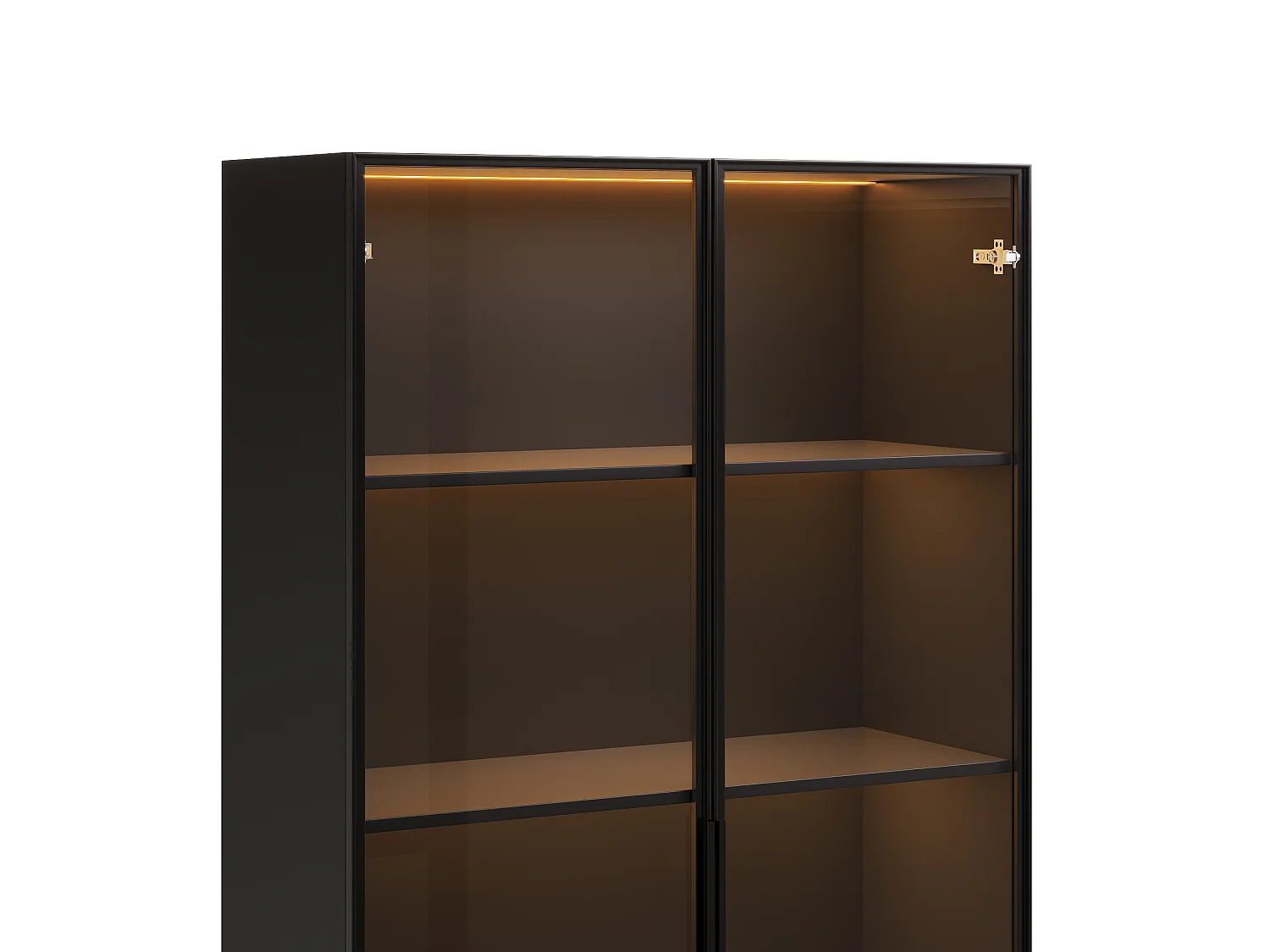 Glasvitrine 60×40×160 cm - mit LED-Beleuchtung - 2 Glastüren und 2 Schubladen - MDF-Struktur - schwarz