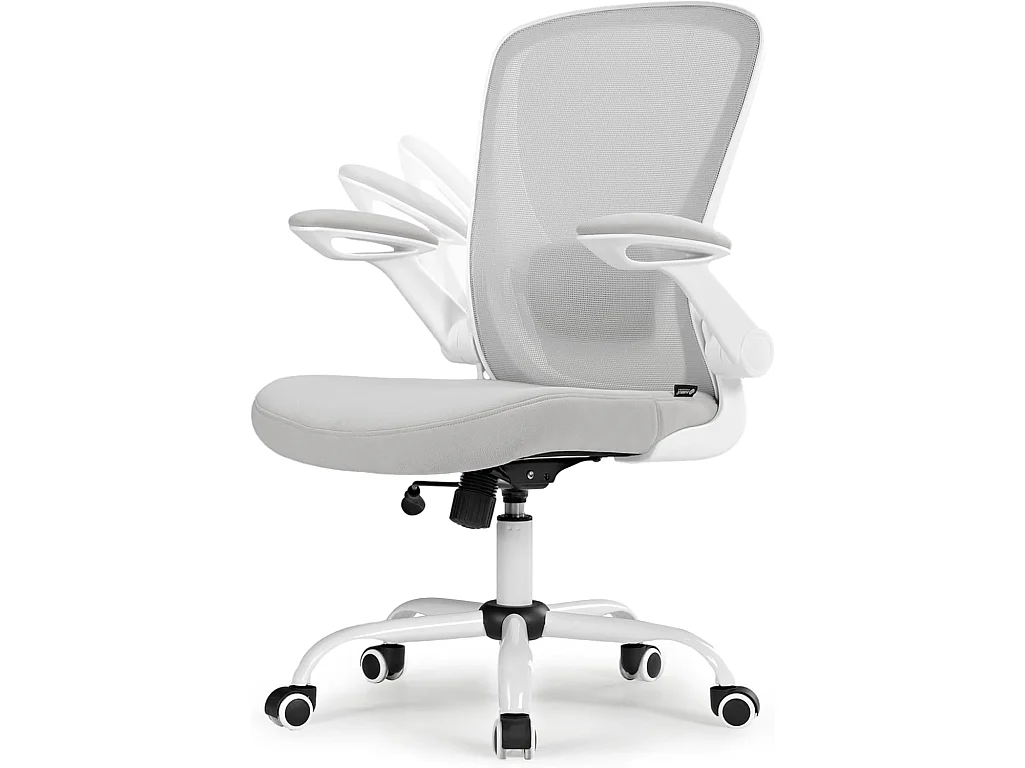 Chaise bureau ergonomique maille respirante, soutien lombaire réglable, accoudoirs rabattables