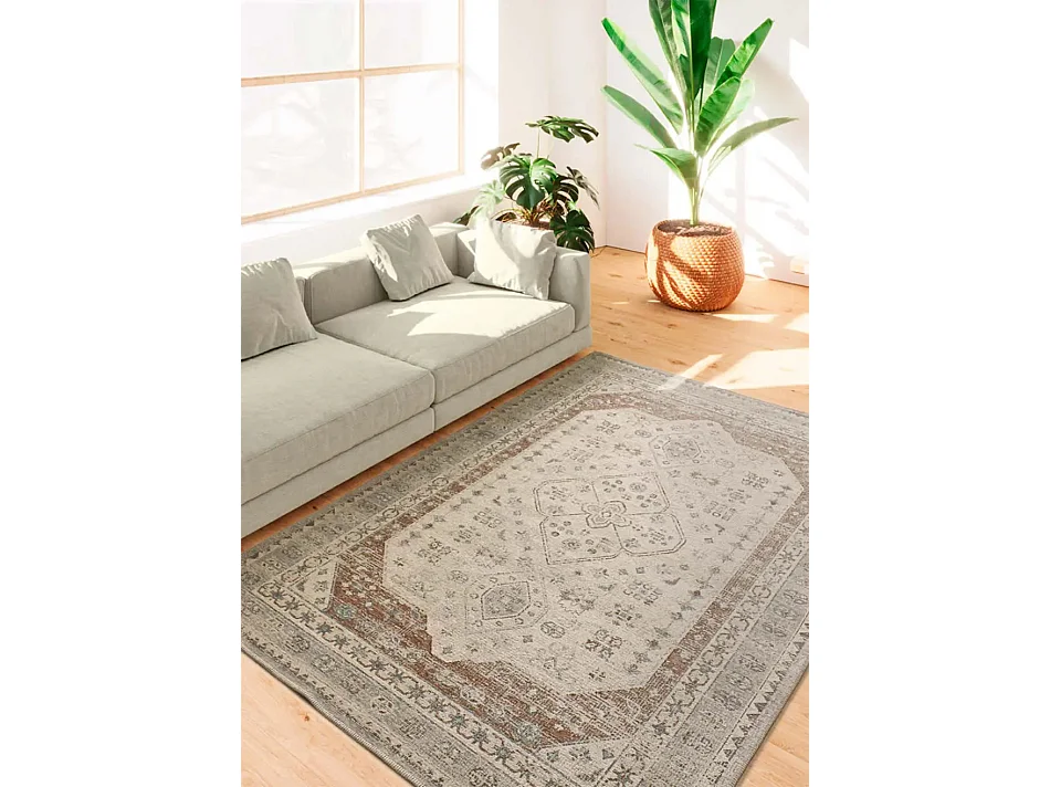 Tapis extérieur - vintage oriental - gris / rouille - 200 x 290 cm - LUA